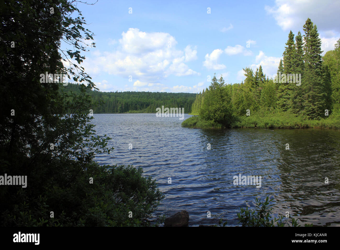 Gfp Minnesota Superior National Forest Whale Lake View Stock Photo