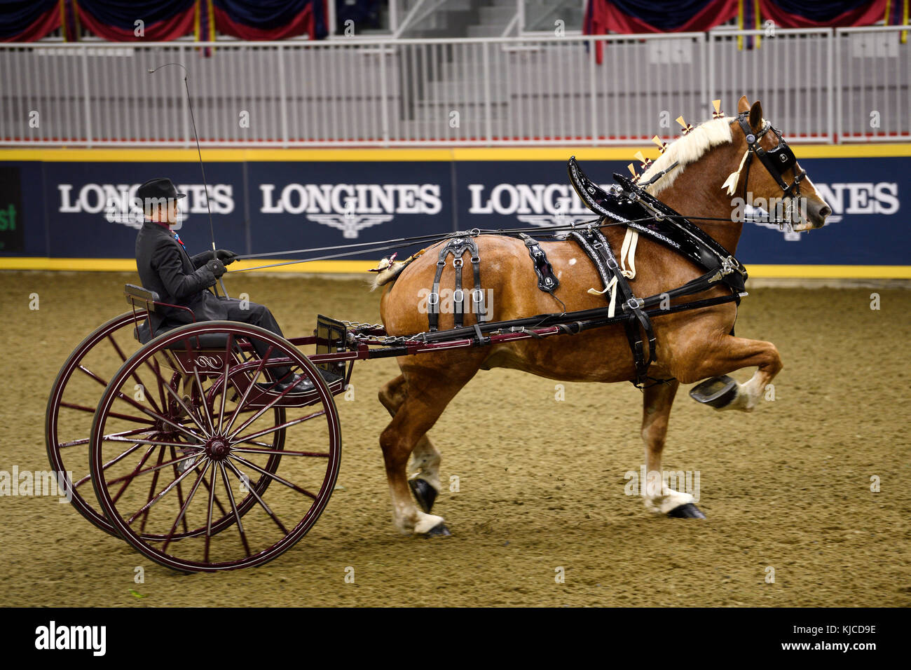 Kyle Forsyth driving draft horse cart at NASHHCS Classic Cart Series at