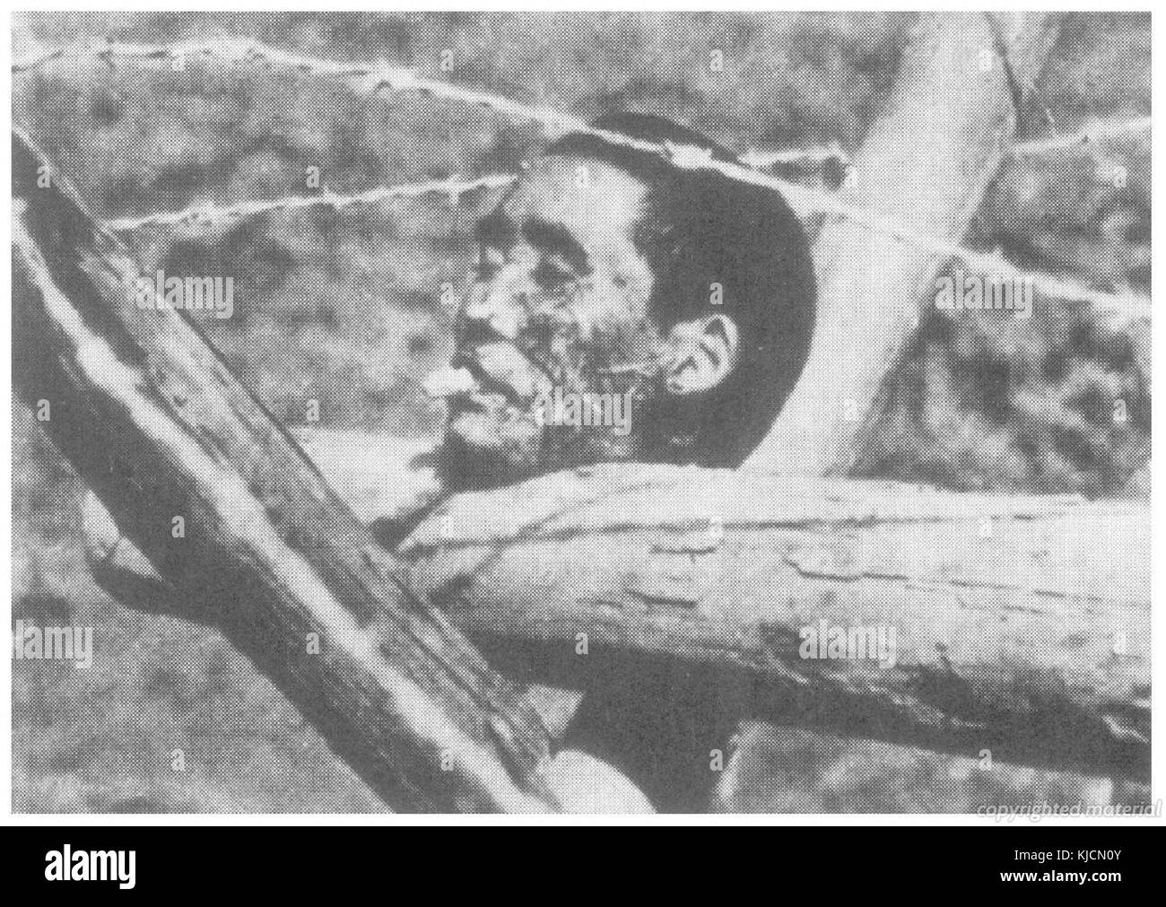 Chinese head, Nanking massacre Stock Photo