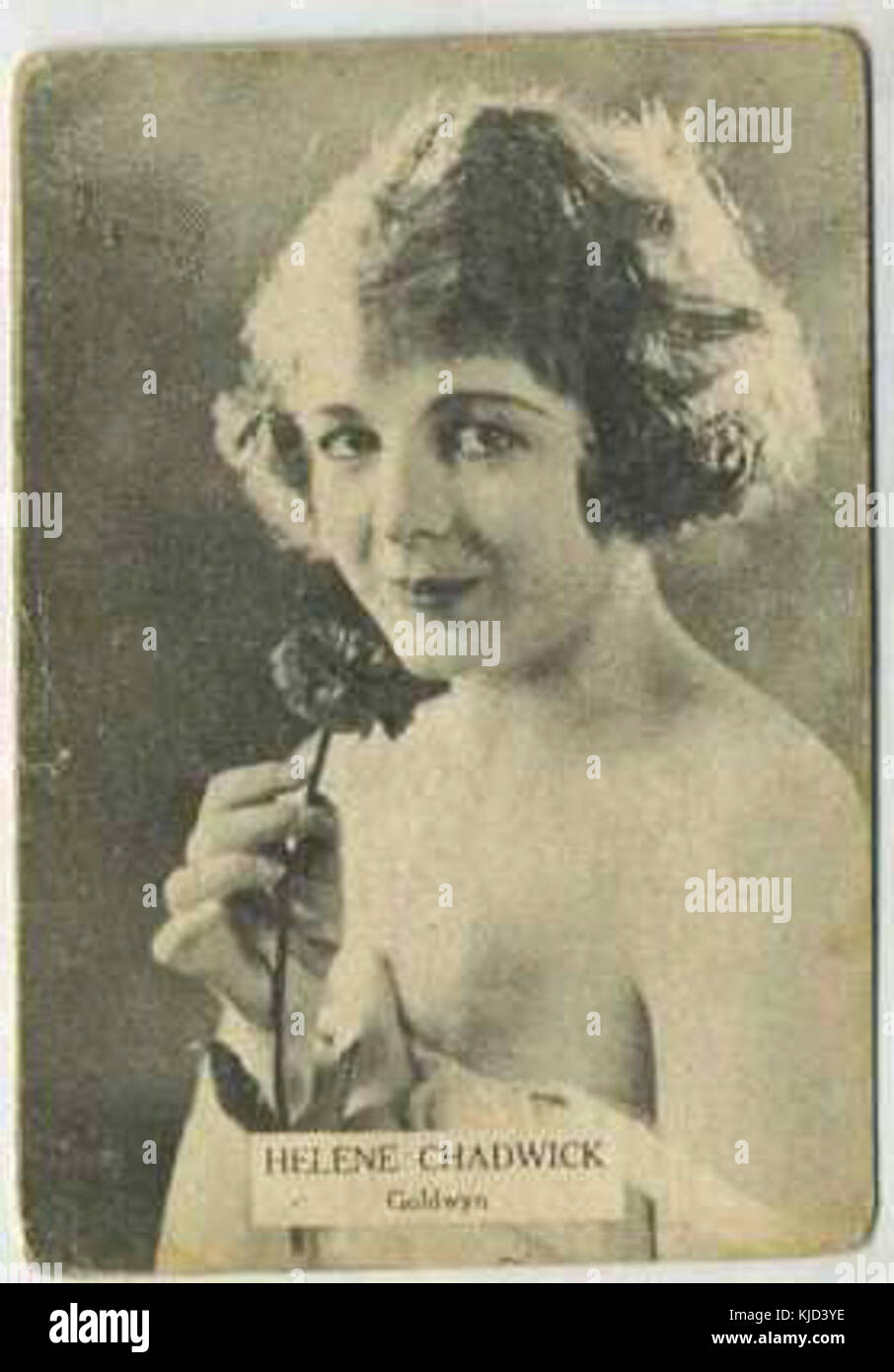 Forum on this topic: Helene Chadwick, helene-chadwick/ Communication on this topic: Georgina Moon, helene-chadwick/