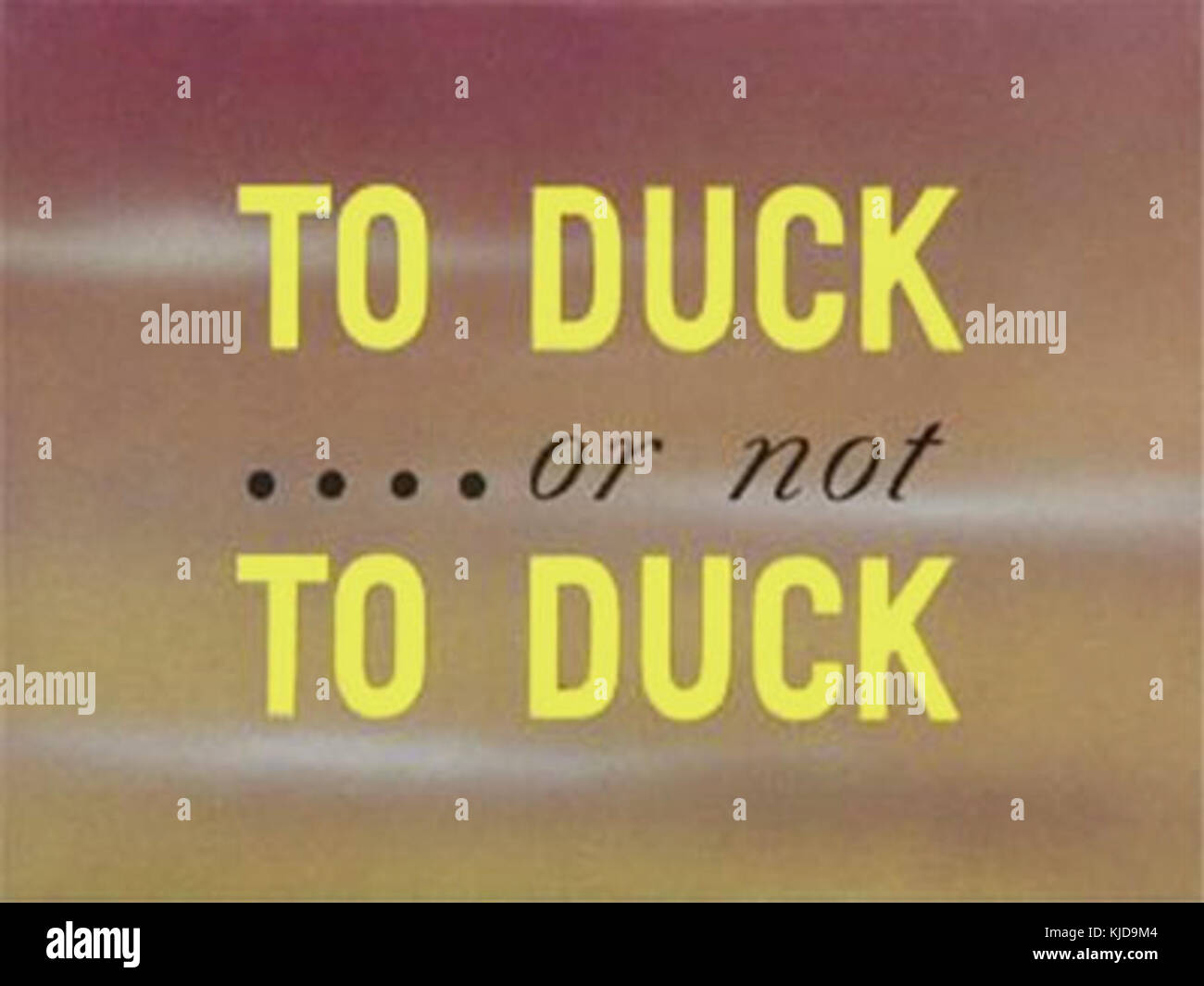 Daffy Duck To Duck or not To Duck 001 0001 Stock Photo - Alamy