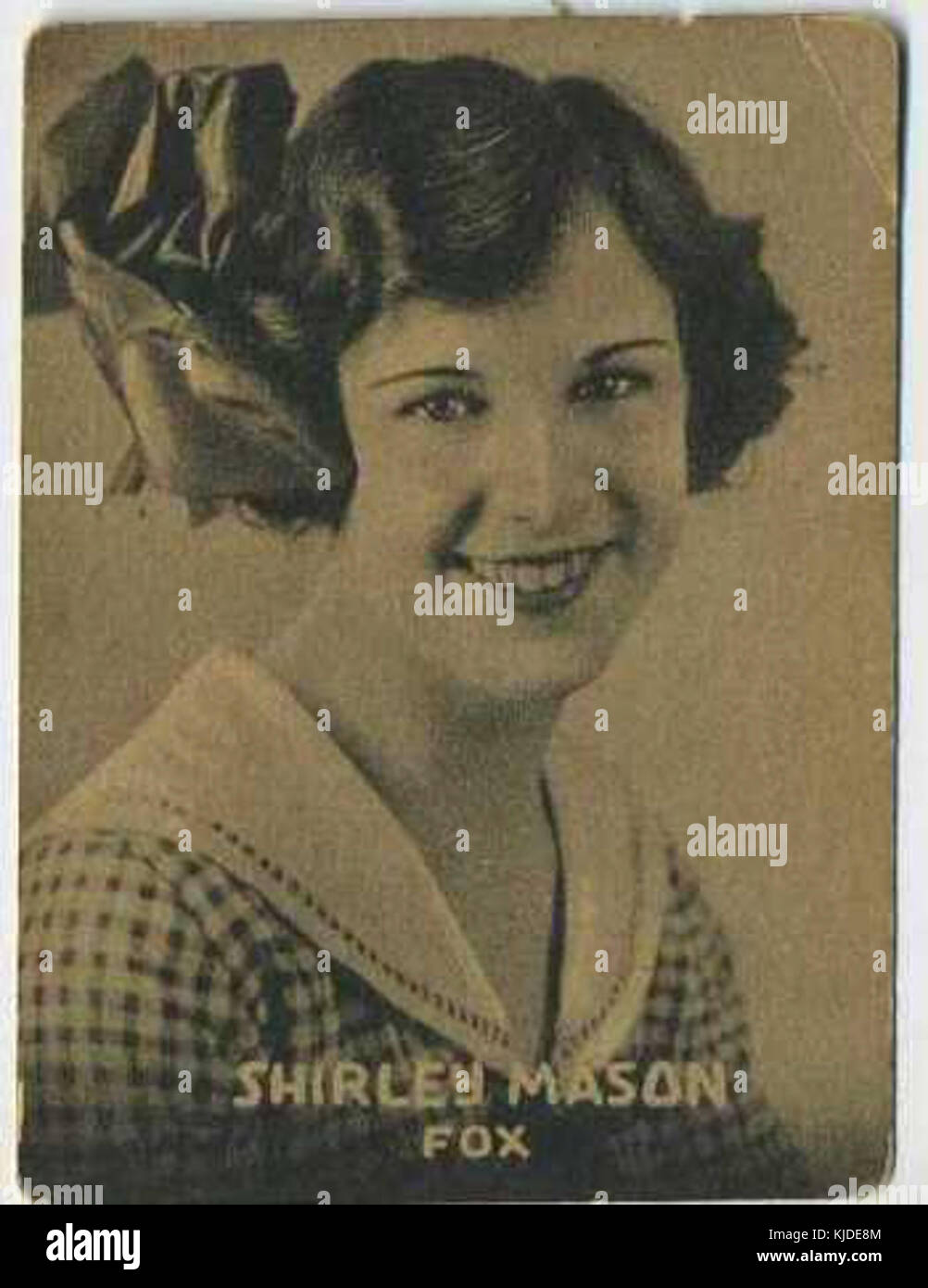 Shirley Mason Tobacco Card Stock Photo Alamy
