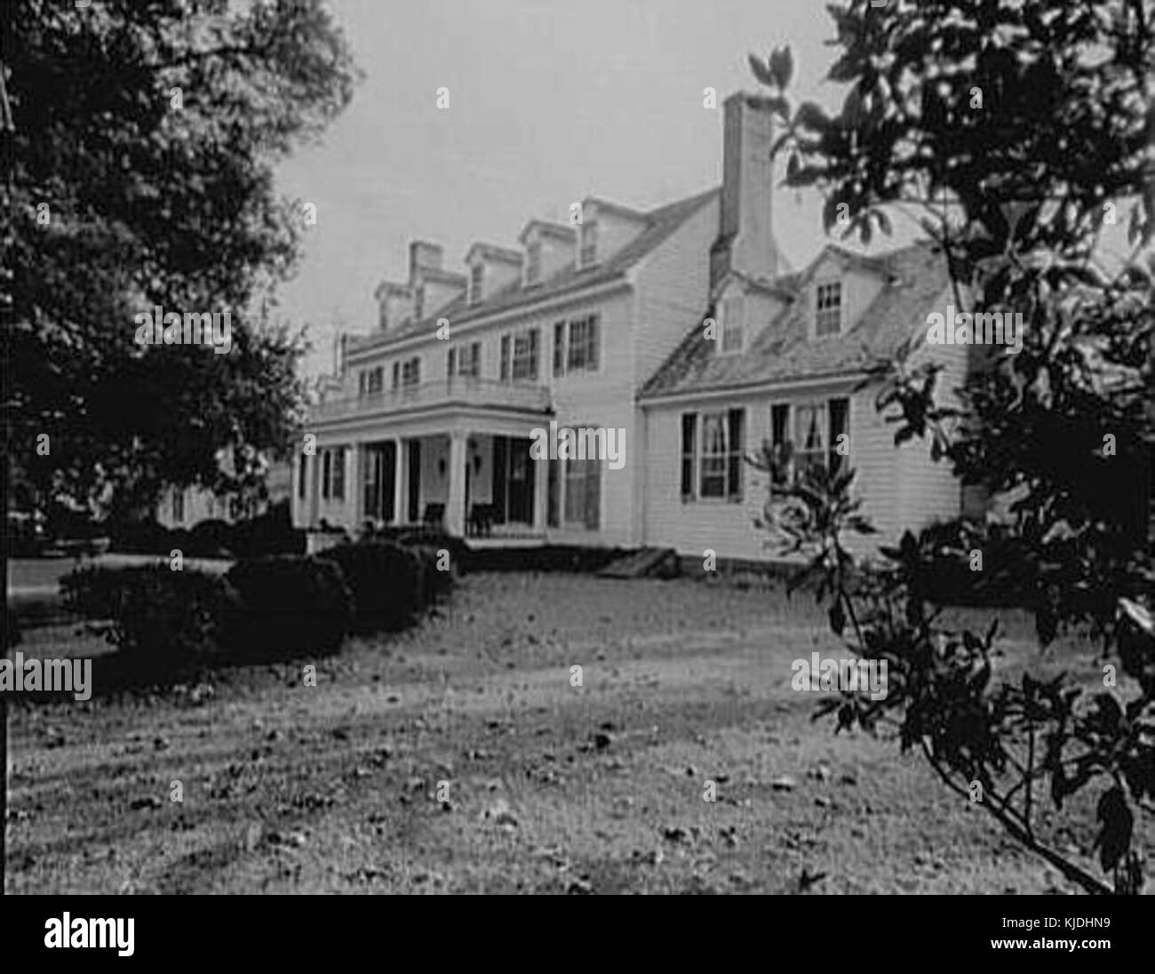 Sherwood Forest 1961 Stock Photo Alamy