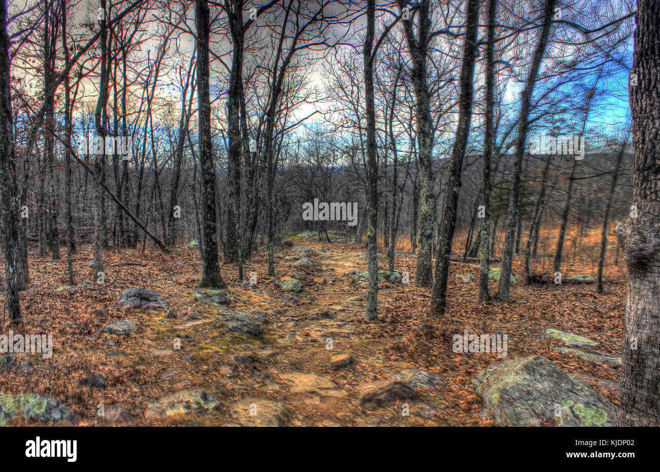 Gfp Missouri Taum Sauk Mountain State Park Hiking Trail Stock Photo Gfp Missouri Taum Sauk Mountain State Park Hiking Trail Stock Photo