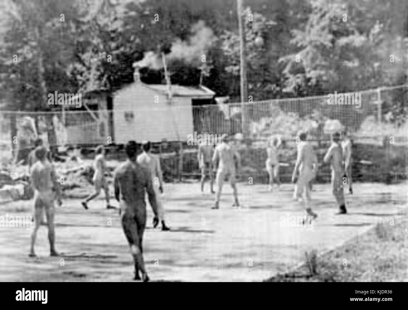 social nudist This image depicts a group of people playing volleyball in a naturist ( nudist) setting, emphasizing the social aspect of nudism, a lifestyle that  advocates for non-sexual public nudity, often practiced in designated
