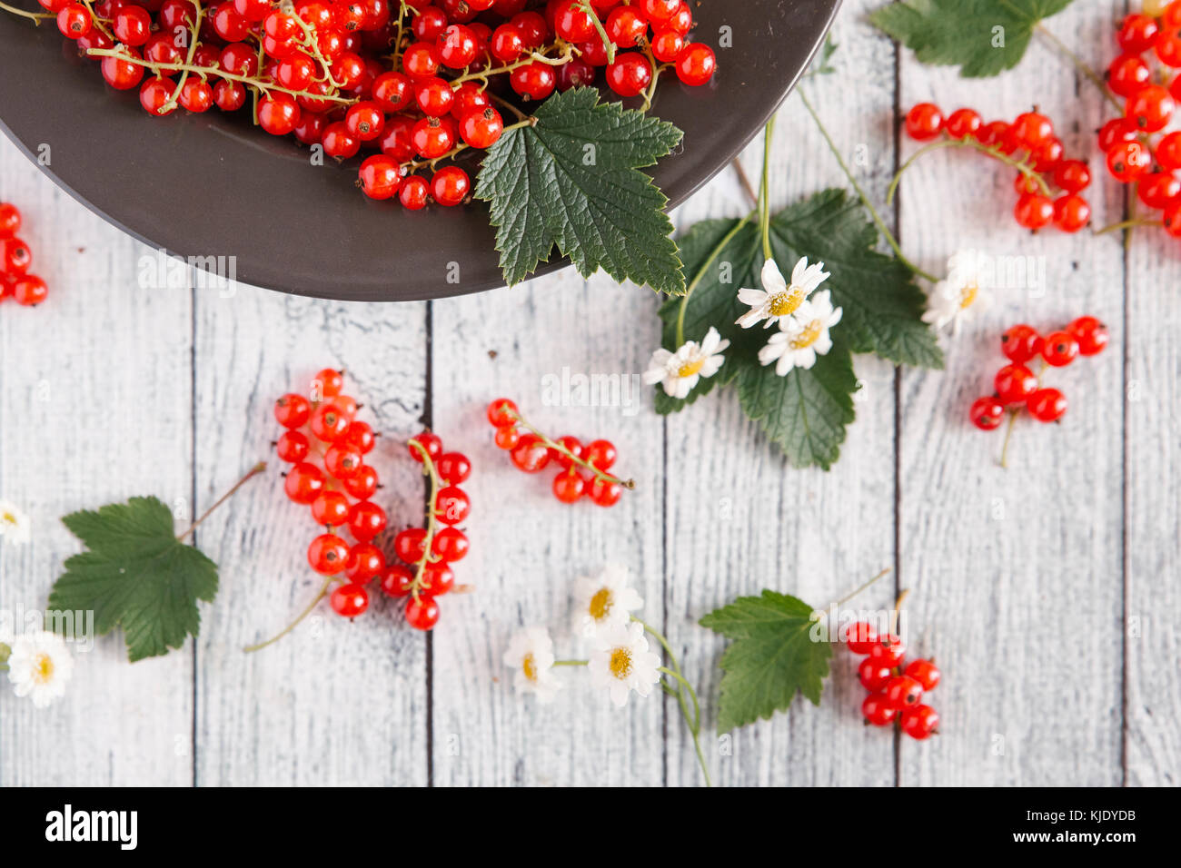Red berries and leaves on table with flowers Stock Photo