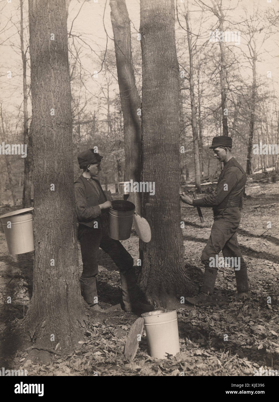 Making sugar, 1907 (15870536700) Stock Photo