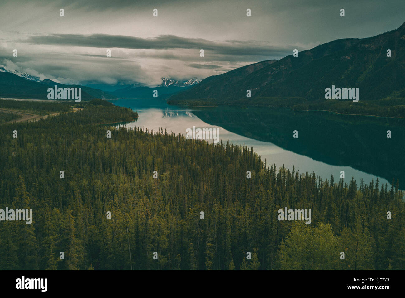 River From Treeview Scenic view of trees and river Stock Photo - Alamy