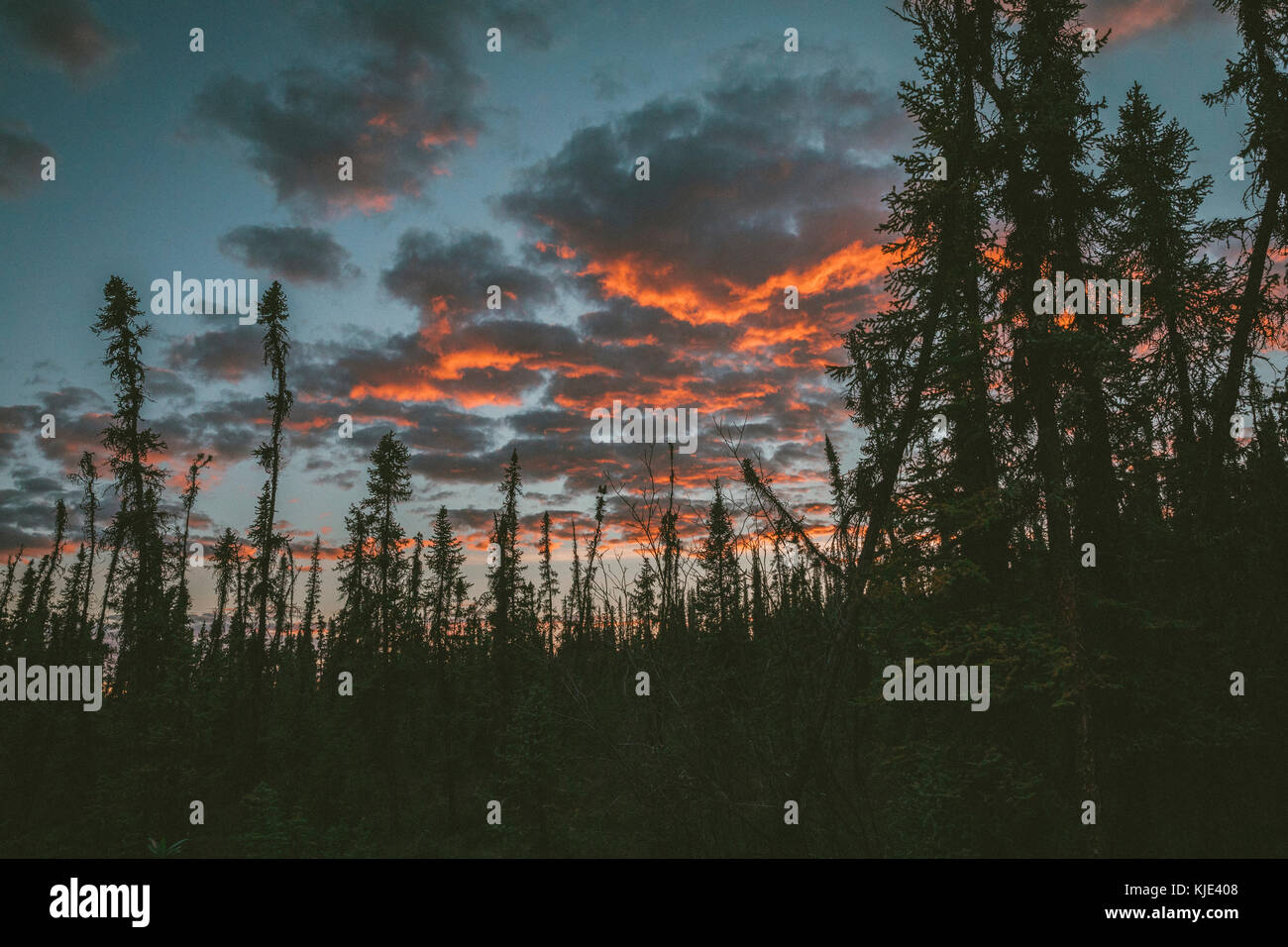 Sunset on clouds in forest Stock Photo - Alamy