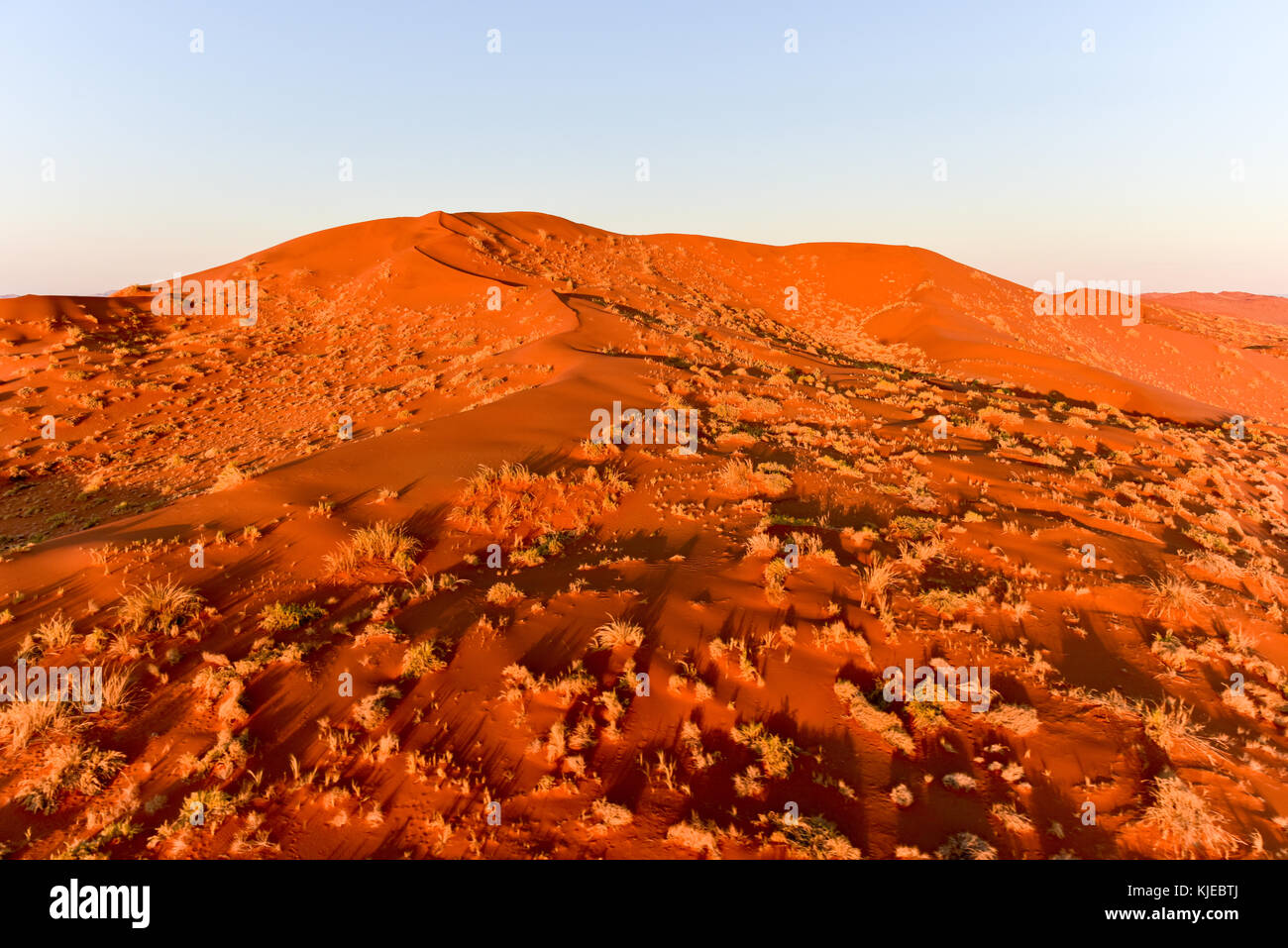Aerial view of high red dunes, located in the Namib Desert, in the