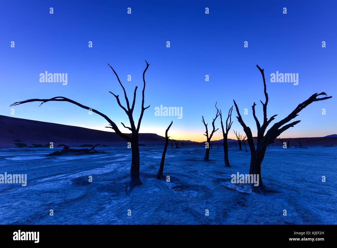 Deadvlei stars hi-res stock photography and images - Alamy
