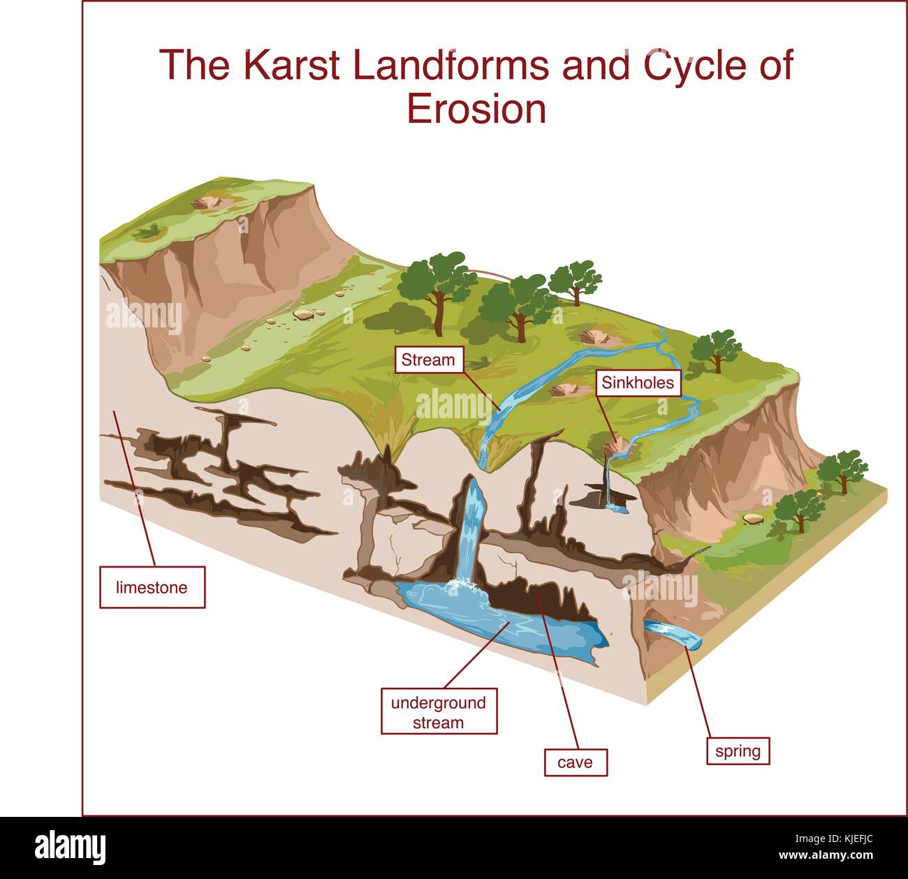 The Karst Landforms and Cycle of Erosion Stock Vector