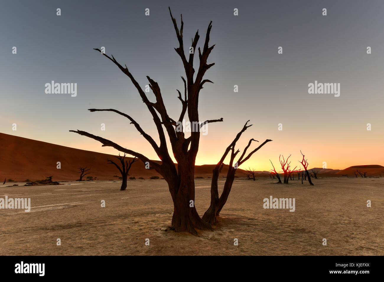 Deadvlei stars hi-res stock photography and images - Alamy