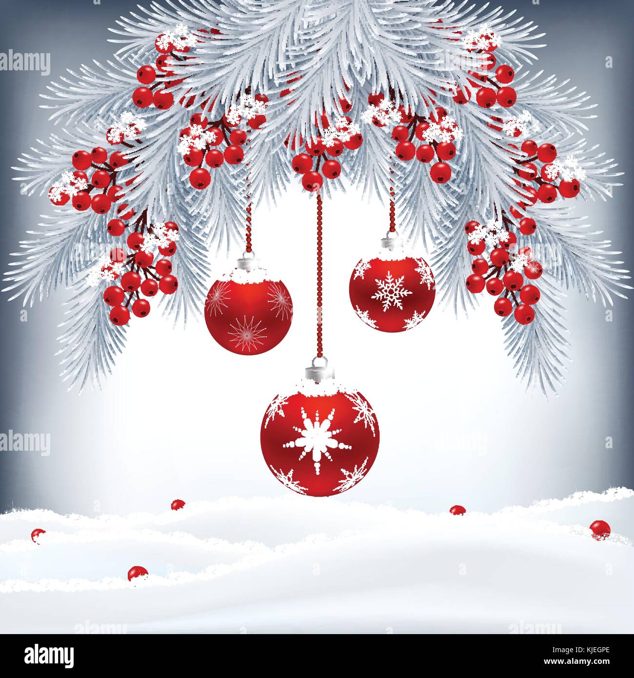 Christmas card with fir branches, berries and red balls. Winter ...