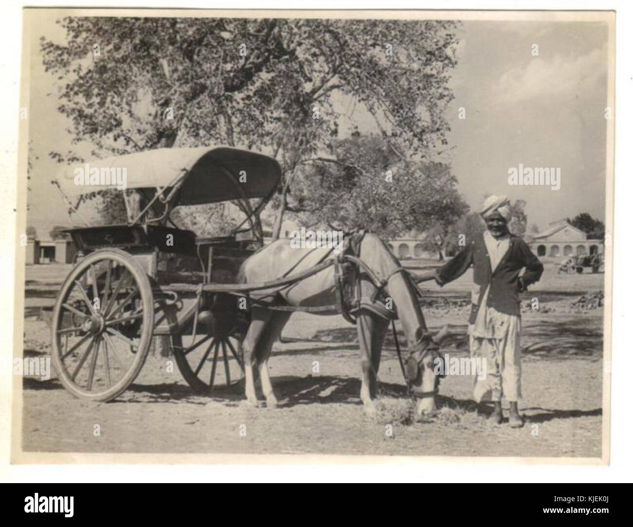 A tonga wallah with his carriage in 1945 Stock Photo Alamy