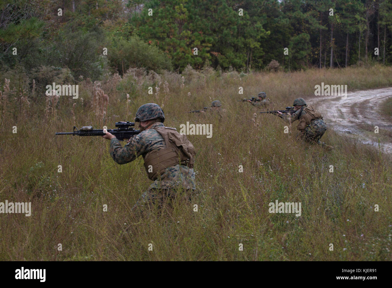 Artillery Marines with 2nd Battalion, 10th Marine Regiment react to enemy contact during a training patrol at Camp Lejeune, N.C., Nov. 14, 2017. Infantry Marines with 3rd Battalion, 8th Marine Regiment taught the artillerymen advanced patrolling tactics in preparation for their upcoming deployment. (U.S. Marine Corps photo by Lance Cpl. Ashley McLaughlin) Stock Photo