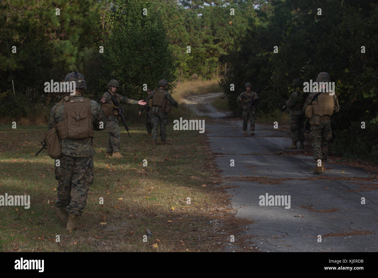 Artillery Marines with 2nd Battalion, 10th Marine Regiment practice hand and arm signals during a training patrol at Camp Lejeune, N.C., Nov. 14, 2017. Infantry Marines with 3rd Battalion, 8th Marine Regiment taught the artillerymen advanced patrolling tactics in preparation for their upcoming deployment. (U.S. Marine Corps photo by Lance Cpl. Ashley McLaughlin) Stock Photo