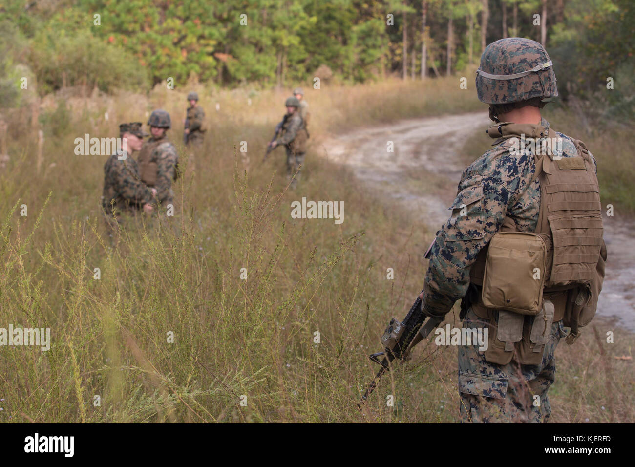 Artillery Marines from 2nd Battalion, 10th Marine Regiment take a pause after reacting to enemy contact during a training patrol at Camp Lejeune, N.C., Nov. 14, 2017. The artillery Marines listen to constructive criticism from an infantry squad leader with 3rd Battalion, 8th Marine Regiment about their execution. The infantry Marines taught the artillerymen advanced patrolling tactics in preparation for their upcoming deployment. (U.S. Marine Corps photo by Lance Cpl. Ashley McLaughlin) Stock Photo