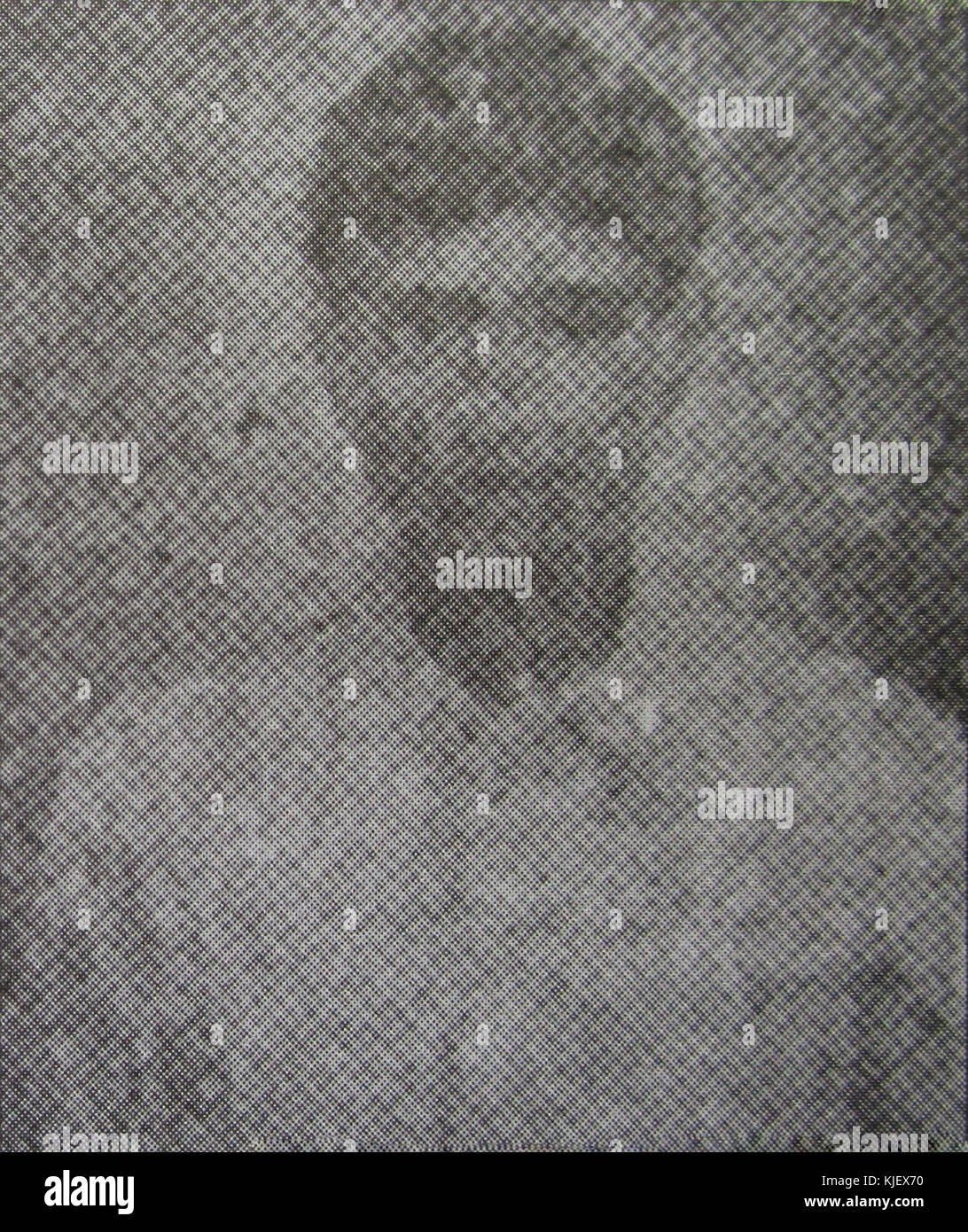 Panja hi-res stock photography and images - Alamy