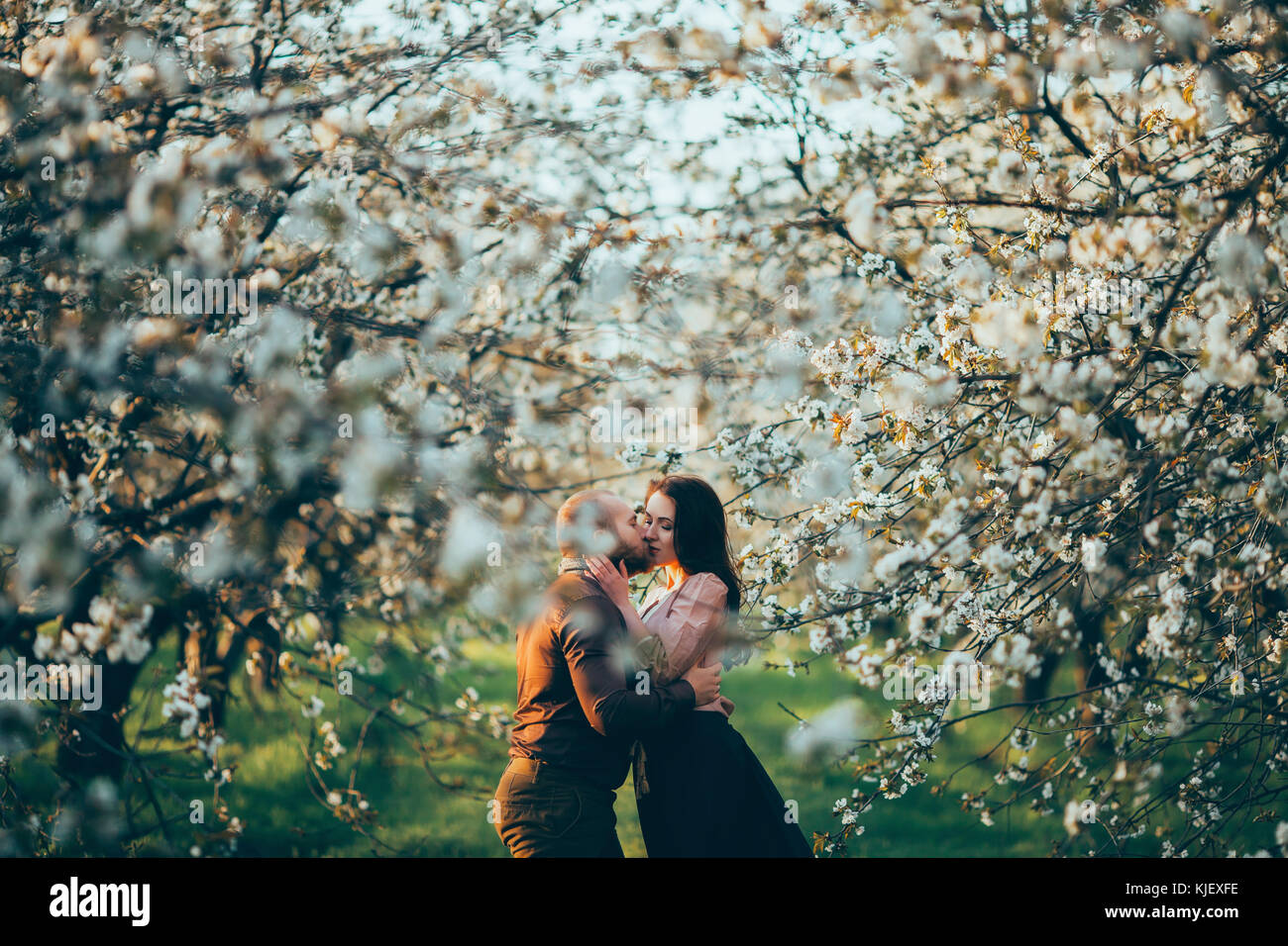 Caucasian couple kissing near blooming trees Stock Photo