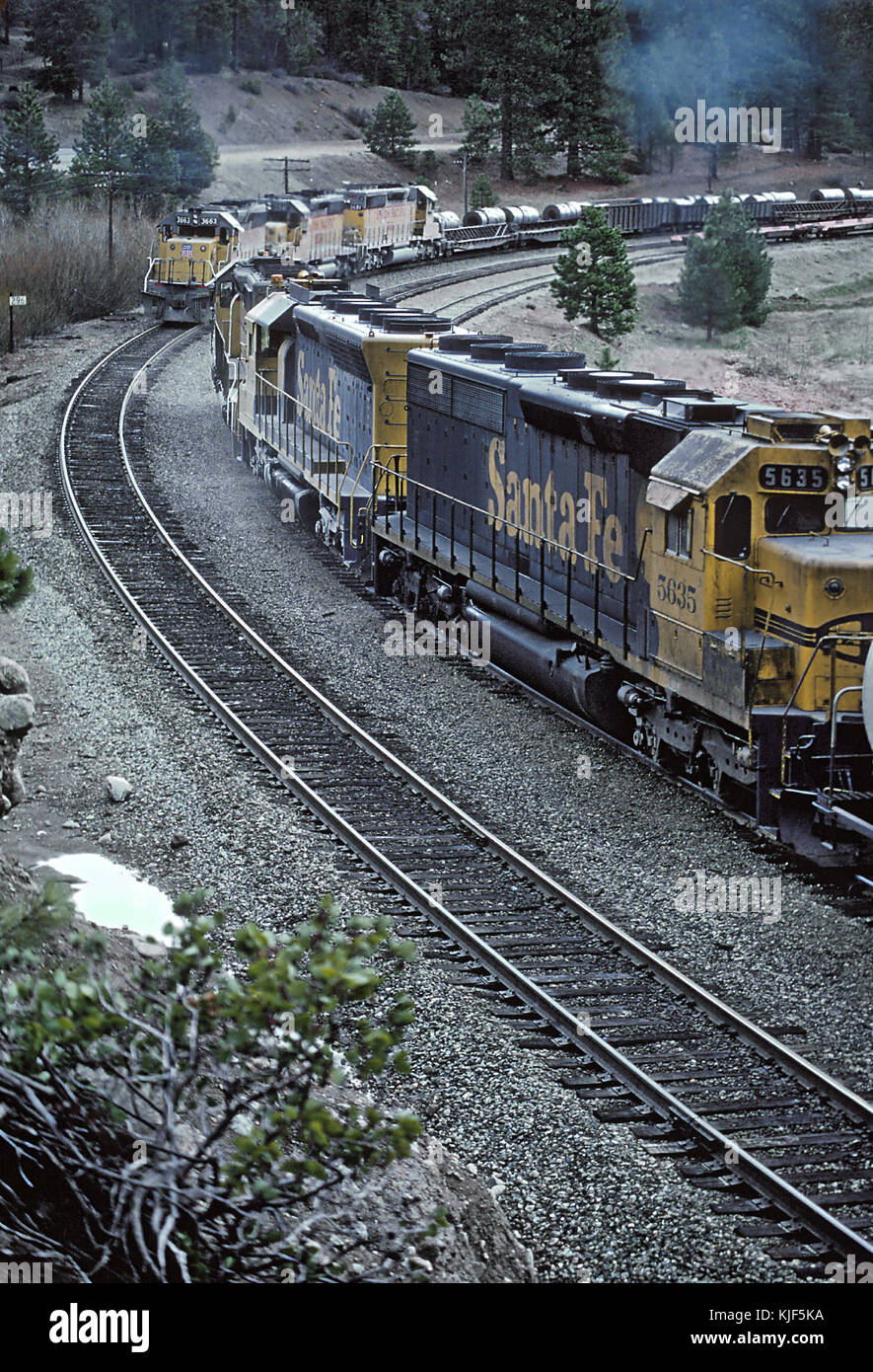 UP 3663 meet a AT&SF Detour on the WP, Spring Garden, CA in March 1983 (29518076556) Stock Photo