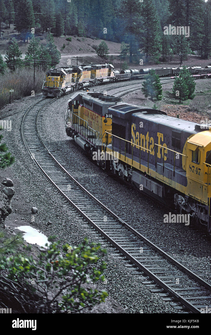 UP 3663 meet a AT&SF Detour on the WP, Spring Garden, CA in March 1983 (29552109445) Stock Photo