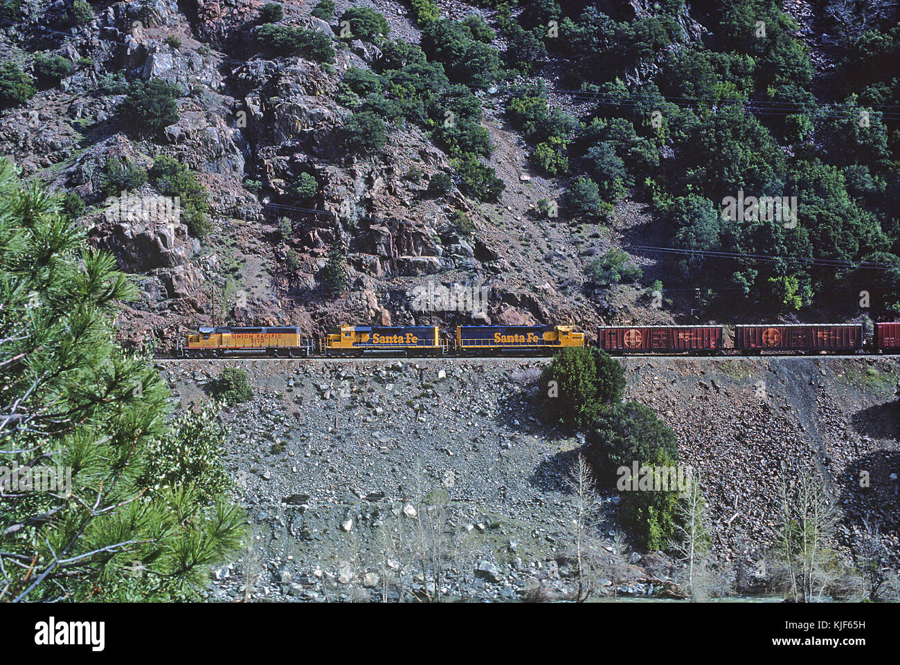 UP 3172 and AT&SF 5000 and 3680 in the Feather River Canyon in March ...