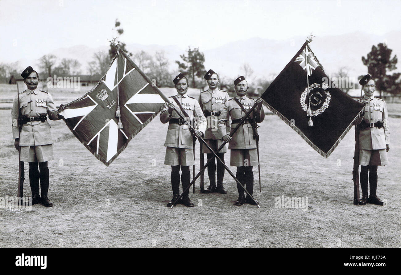 The Light Infantry 5th battalion Queens colours flag 
