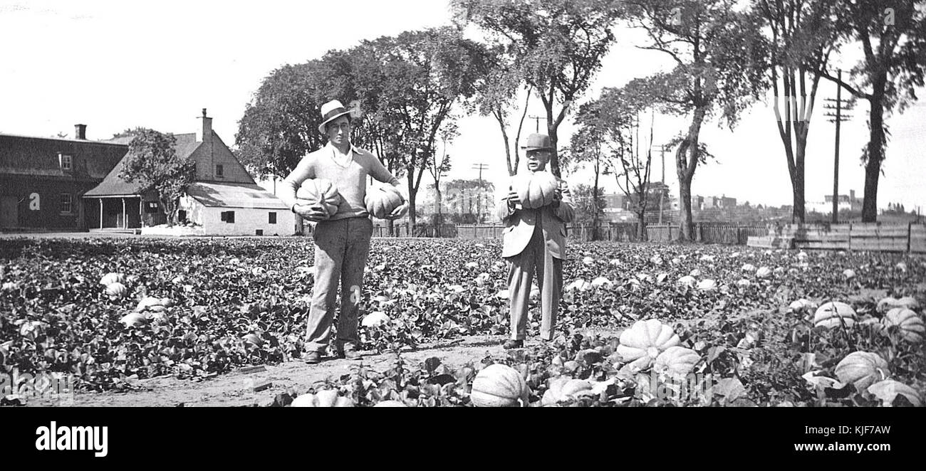 Melon de Montreal, 1925 Stock Photo Alamy