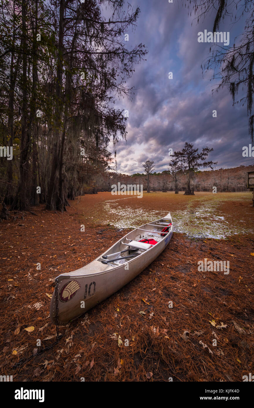 Caddo Lake is a lake and wetland located on the border between Texas