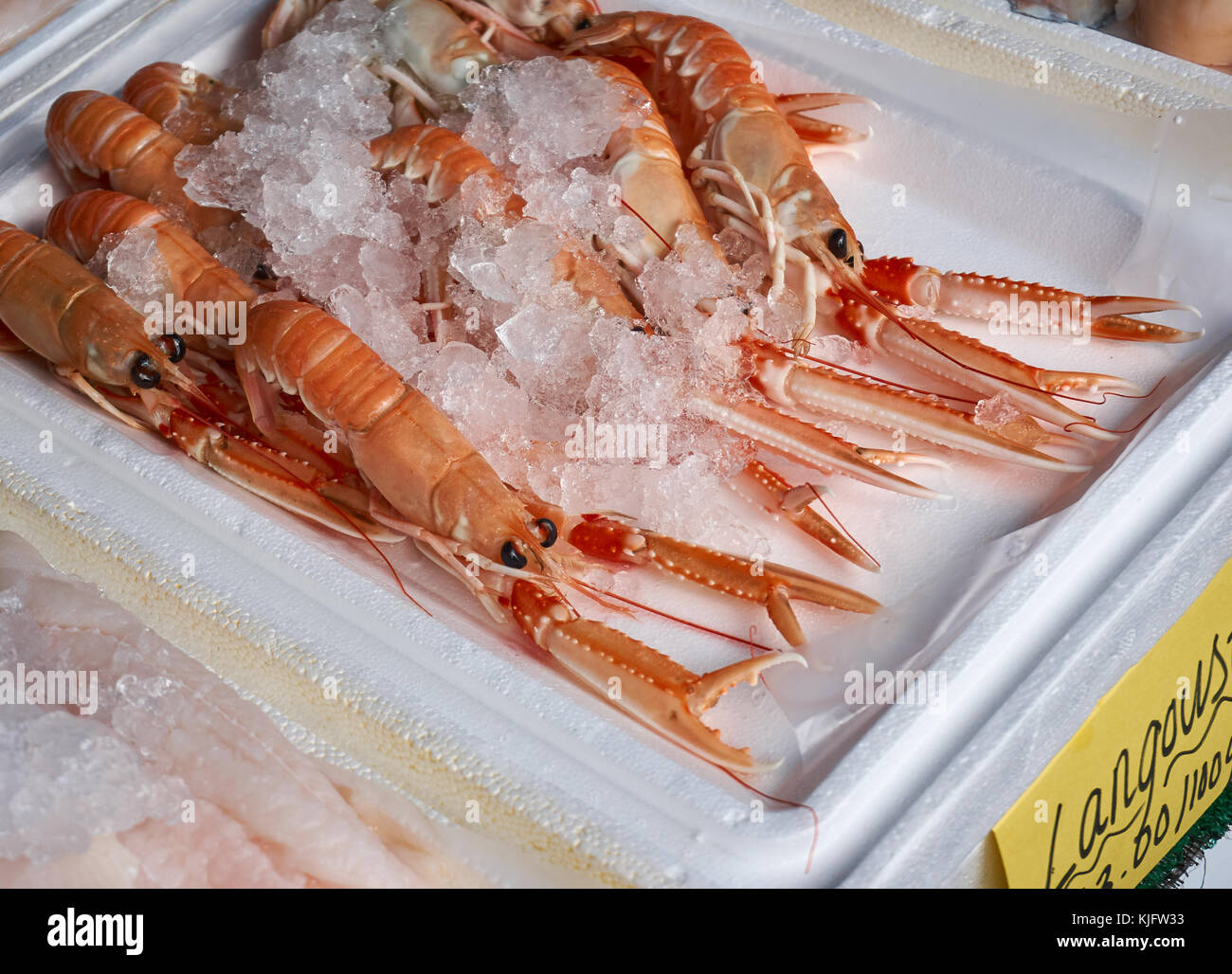 Tray of fresh Scottish langoustines (Nephrops norvegicus),  otherwise known as scampi, with ice, on a local sea food market. Stock Photo