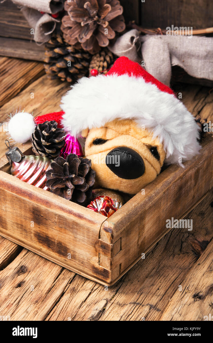 Dog Pine Cone Stock Photos Dog Pine Cone Stock Images Page 2