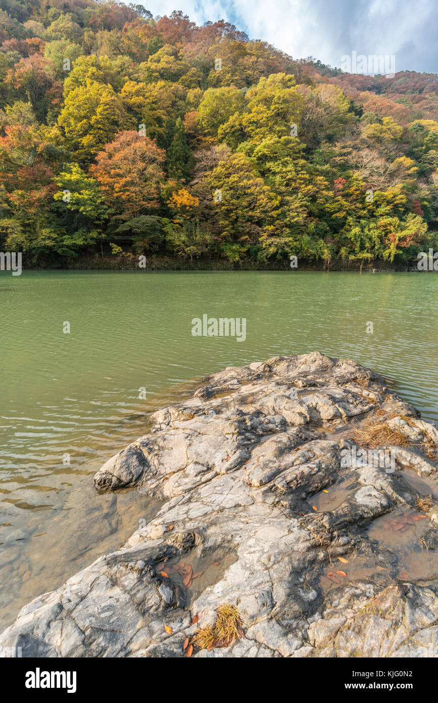 Autumn leaves, Fall foliage and Forest reflections in Katsura River ...
