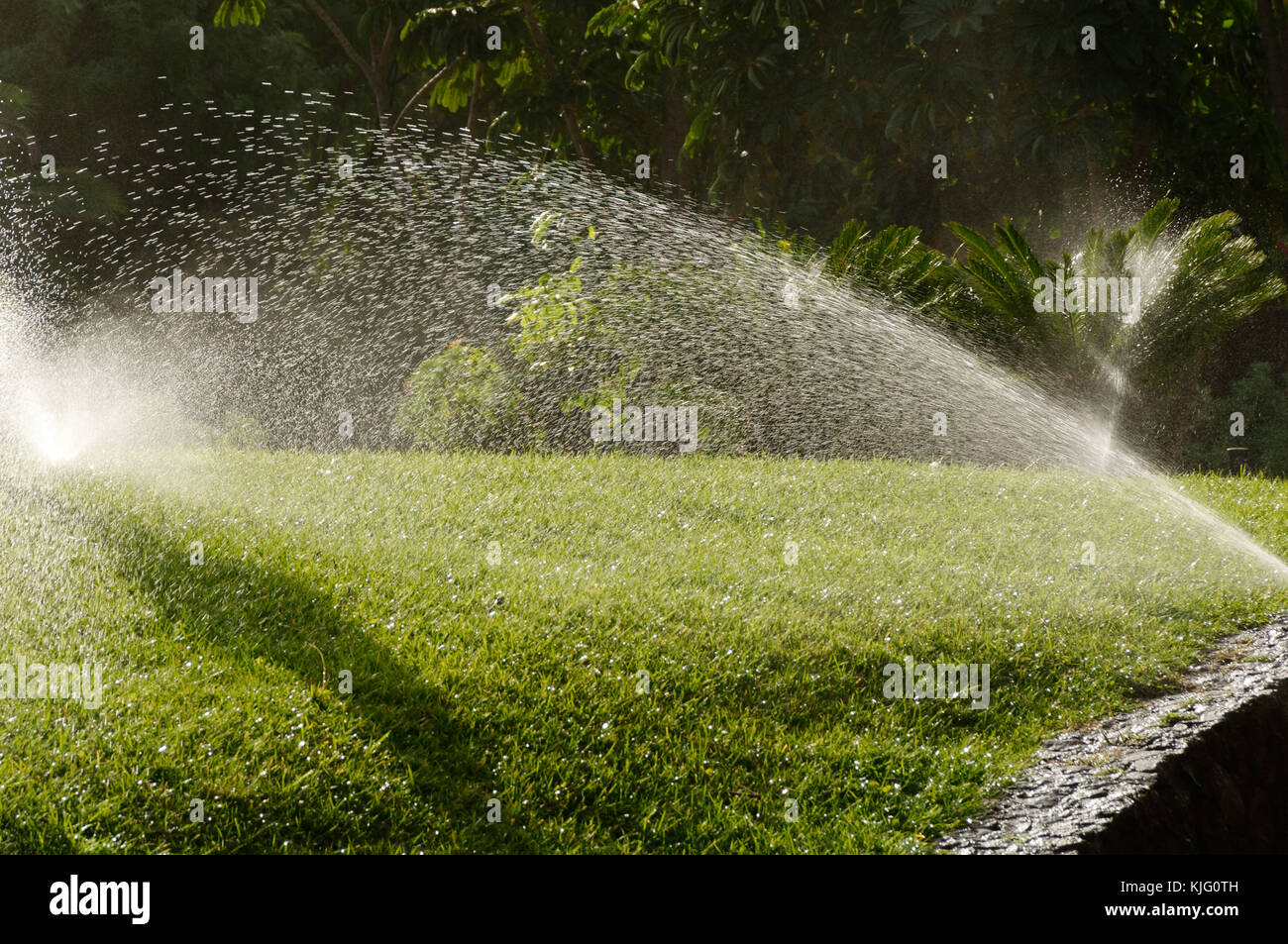 sprinklers sprinkler system systems water watering growing plants grass hot climate plant plants watered lawn lawns Stock Photo