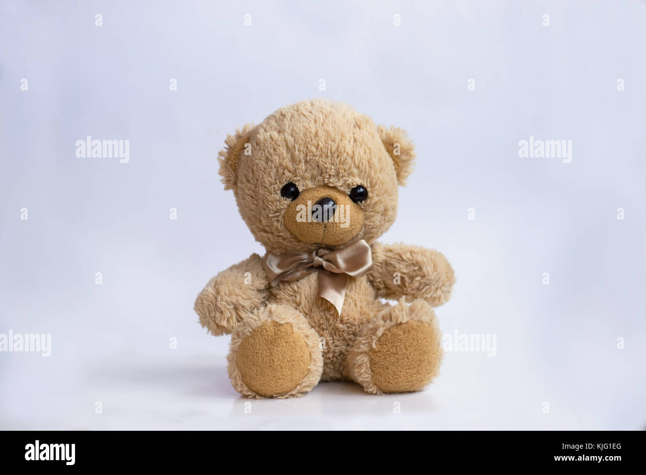 tumblr white background bear tumblr white background bear
