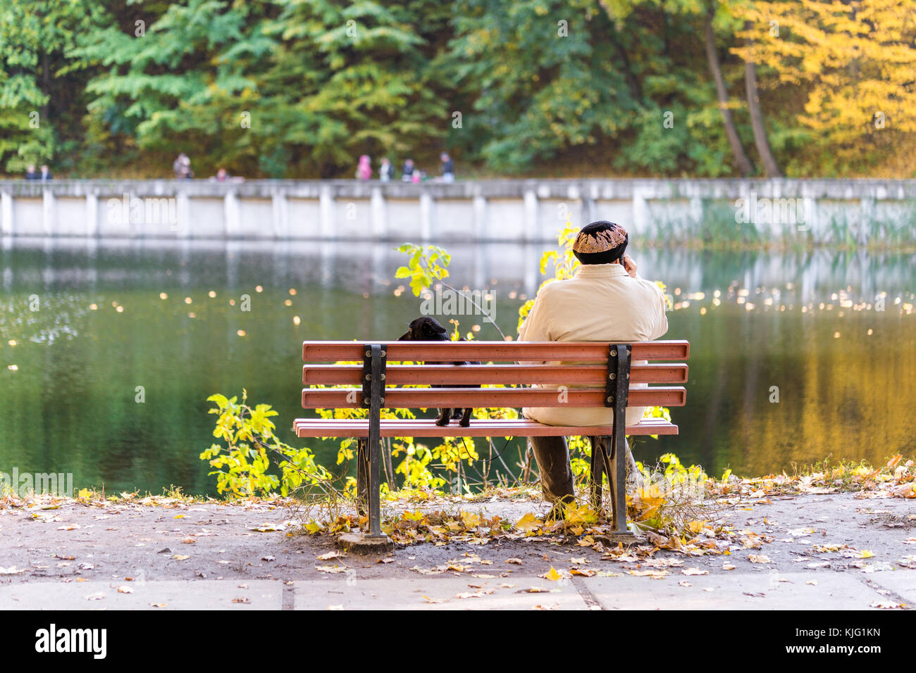 Senior citizen sitting on a park bench in autumn hi-res stock ...