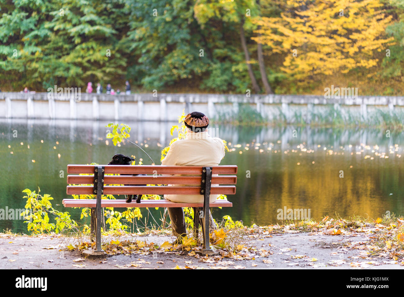 Lonely Senior Woman With A Small Black Dog Sitting On A Bench By