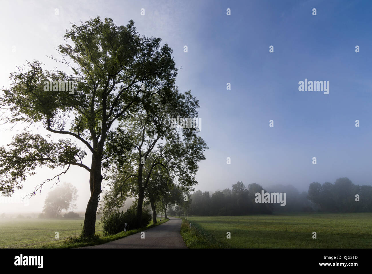 foggy Landscape Stock Photo