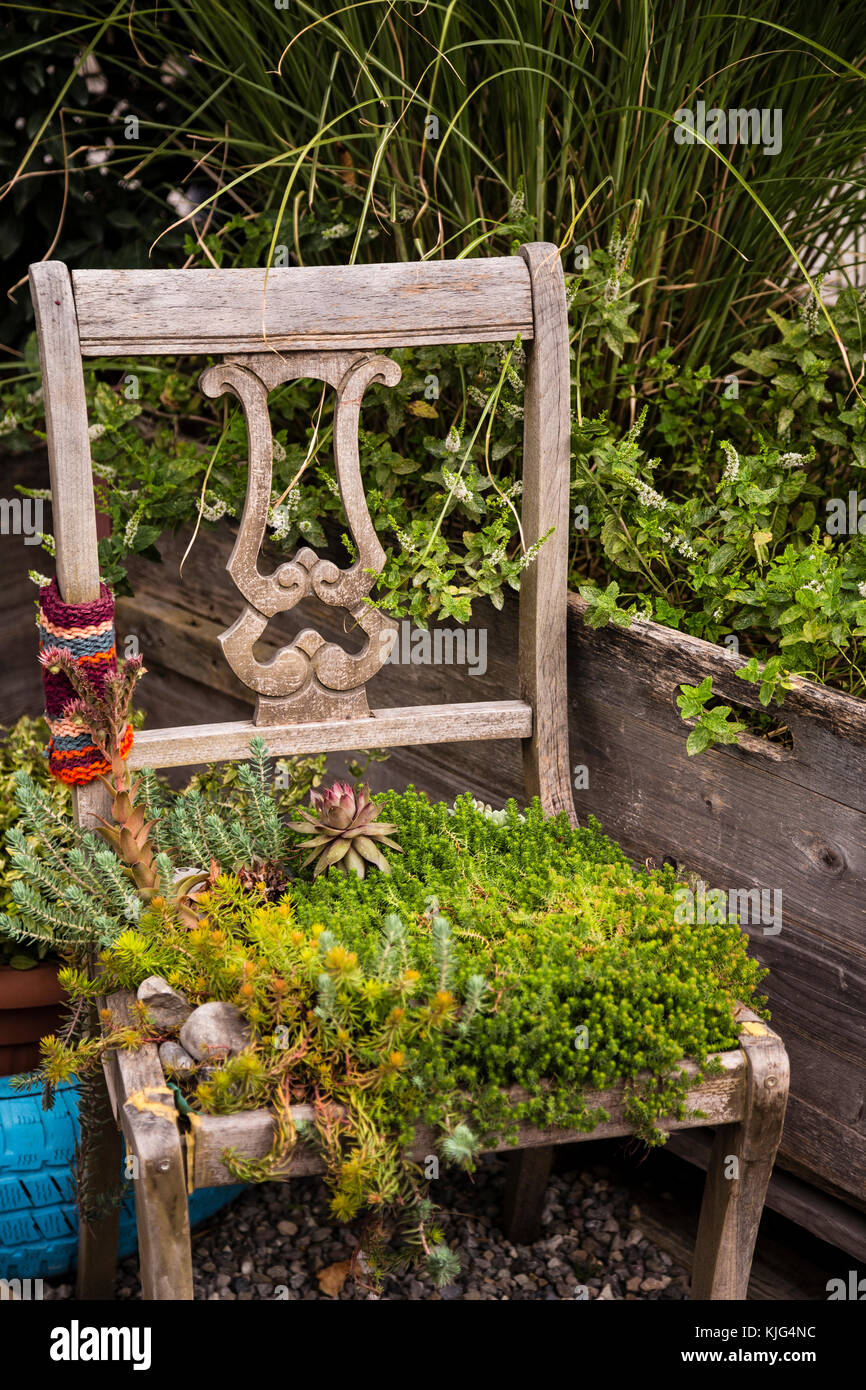 Old Chair With Plants Stock Photo Alamy   Old Chair With Plants KJG4NC 