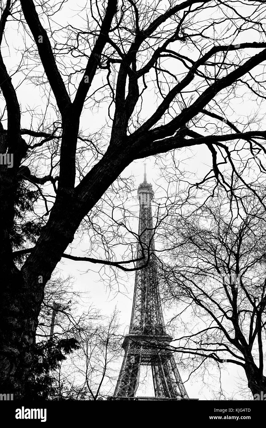 Eiffel Tower seen behind leafless trees silhouettes. Paris, France. Stock Photo