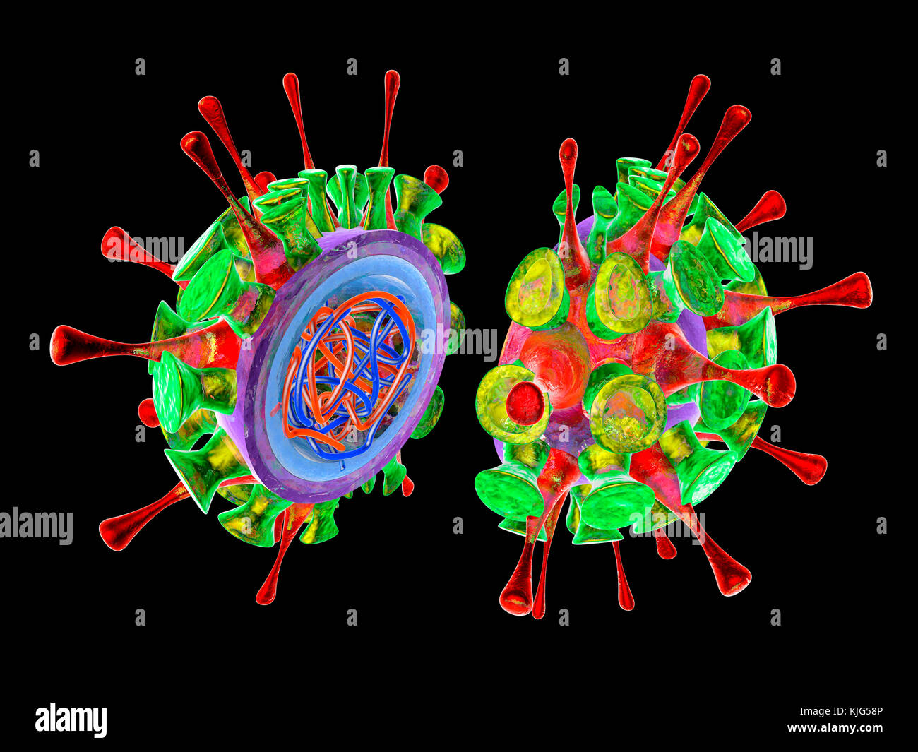Virus 3d image hi-res stock photography and images - Alamy