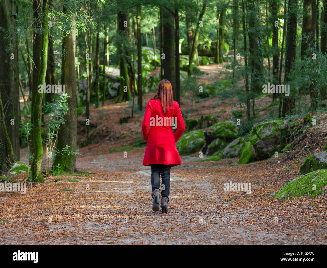Young woman walking away alone on forest path wearing red long coat or overcoat. Girl back view of walk in woods of nature park during fall or autumn Stock Photo