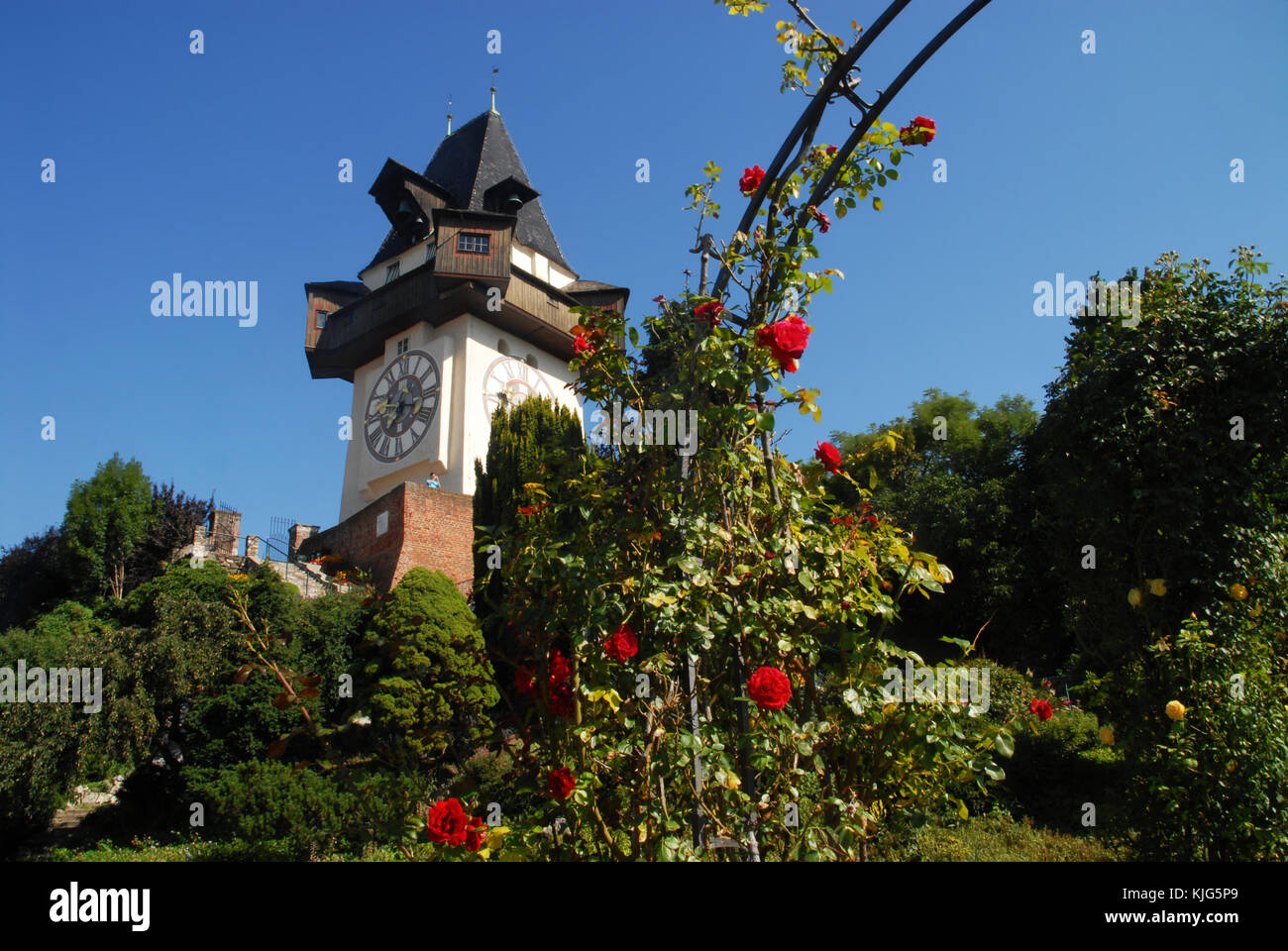 Grazer Uhrturm, Austria, and red roses Stock Photo