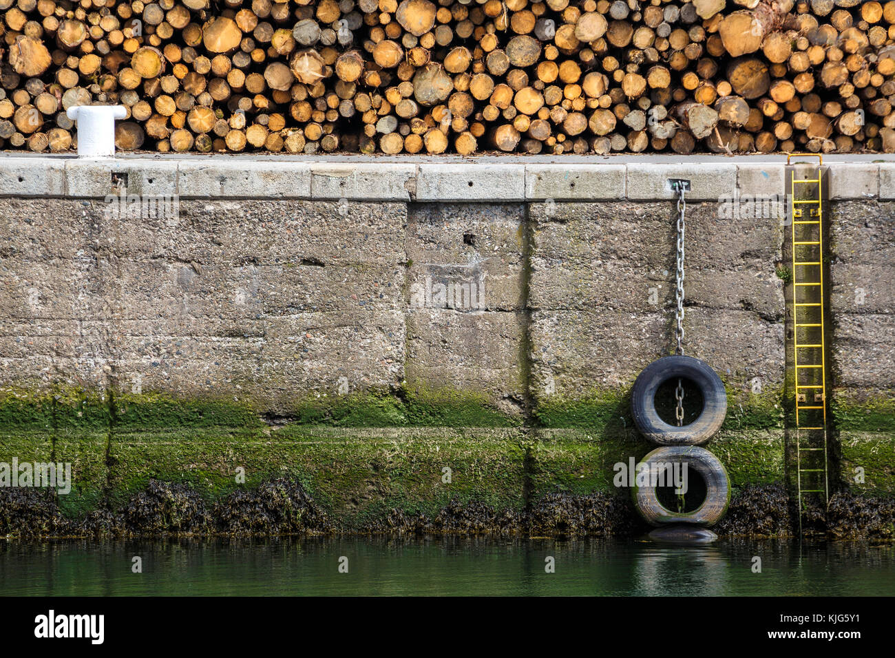 Cut timber is stacked at the dockside ready for transportation in the ...
