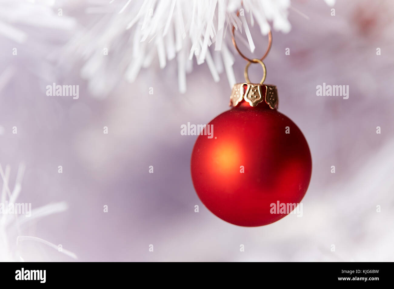 Red and Golden Christams Balls hanging on the white branches of a ...