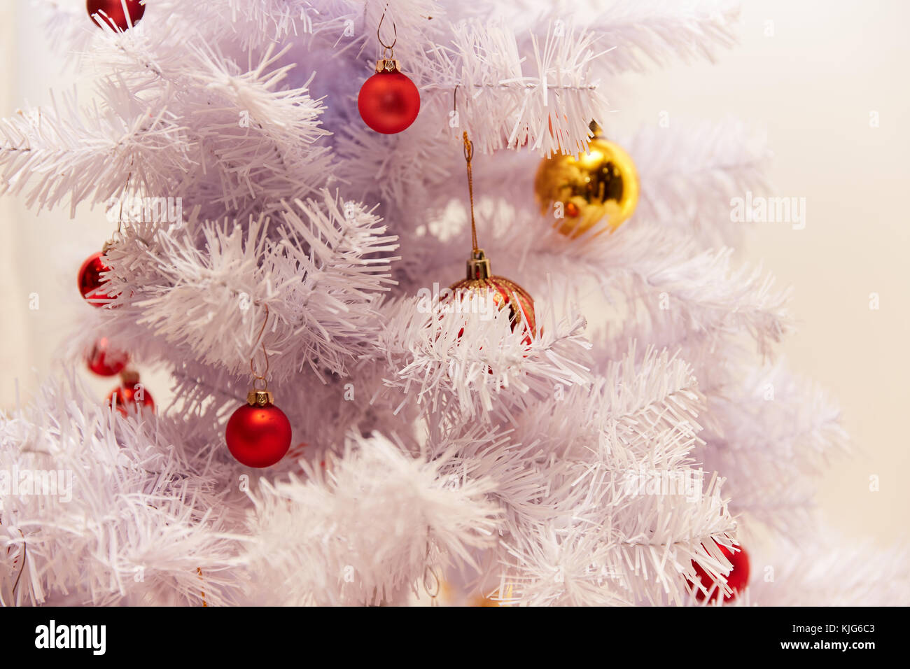 Red and Golden Christams Balls hanging on the white branches of a ...
