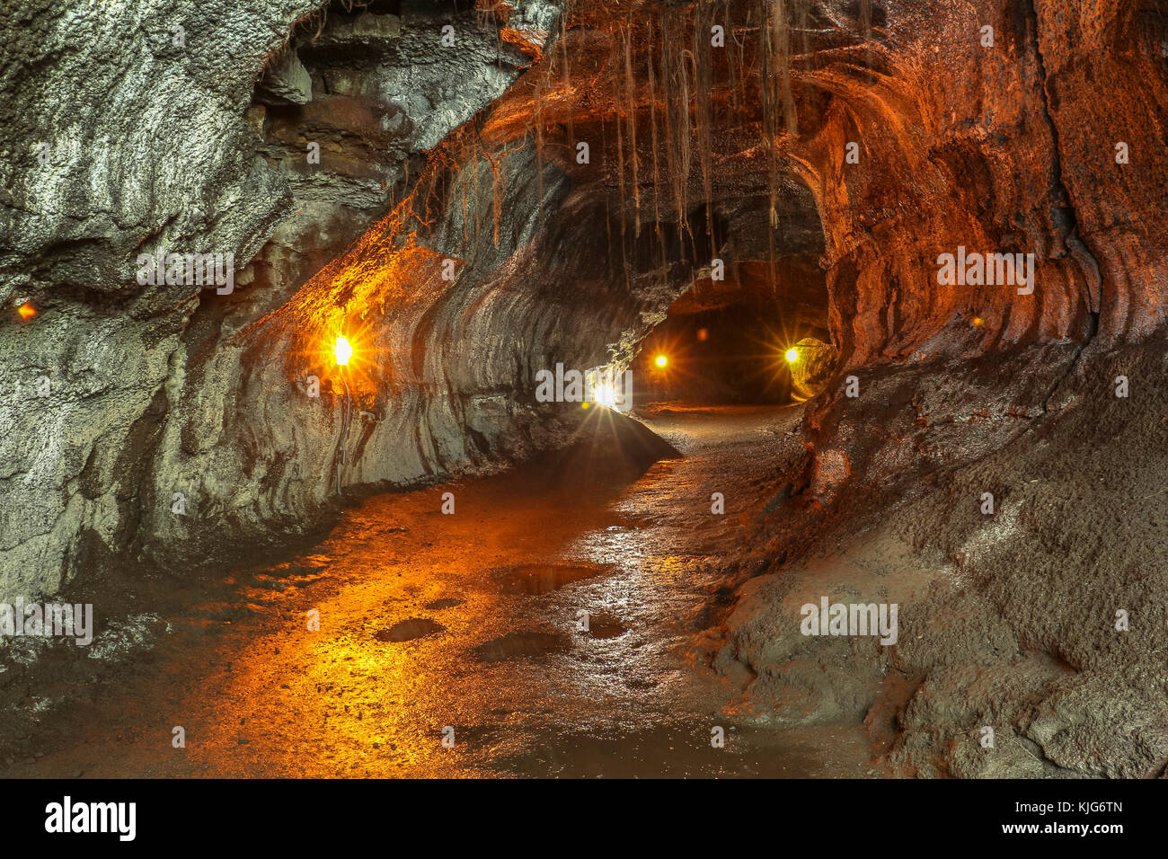 Thurston Lava Tube on Hawaii Big Island Stock Photo Alamy