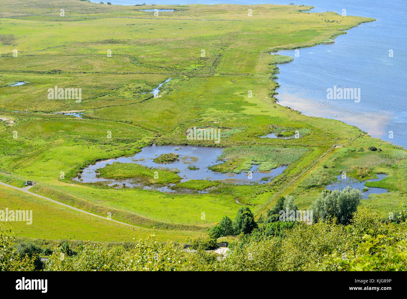 Aerial view of wetlands of RSPB Van Farm Nature Reserve on Loch Leven viewed from Benarty Hill, Perth and Kinross, Scotland Stock Photo