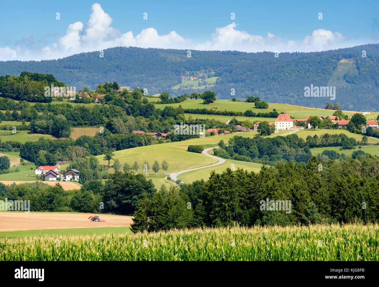 Kinsach-Tal mit Schloss Herrnfehlburg, bei Rattiszell, Bayerischer Wald, Niederbayern, Bayern, Deutschland Stock Photo