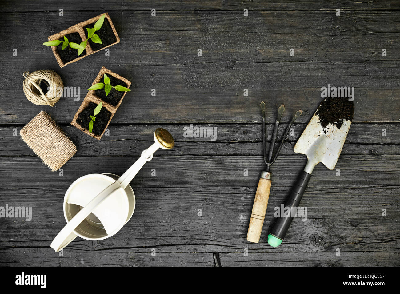 Gardening tools and seedlings on dark wood Stock Photo Alamy